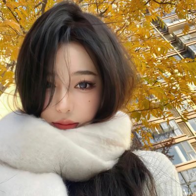 少林与咏春粤语封面